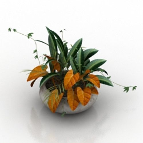 Plants 3D Model