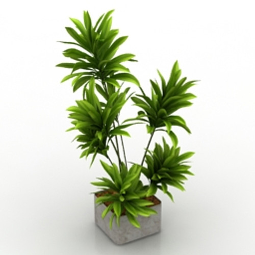 Plant 3D Model