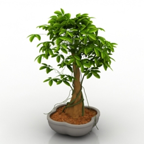 Plant 3D Model