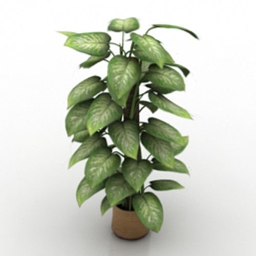 Plant 3D Model