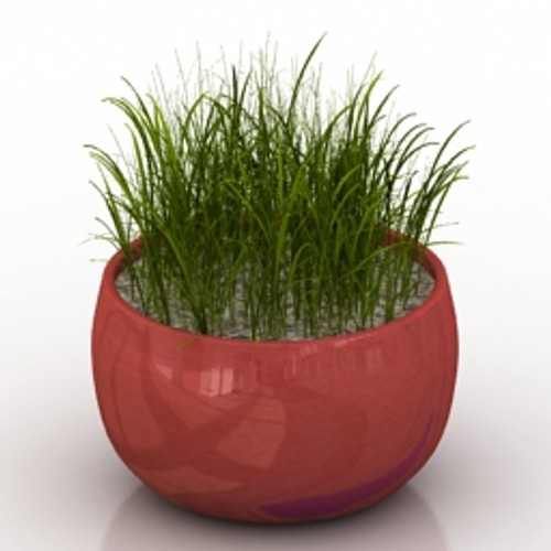 Grass 3D Model