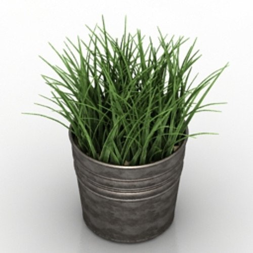 Plant 3D Model