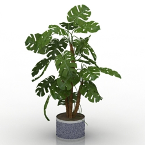 Plant 3D Model