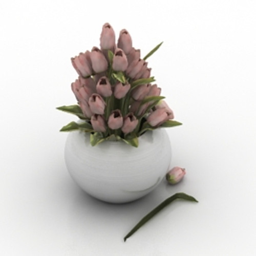 Vase 3D Model