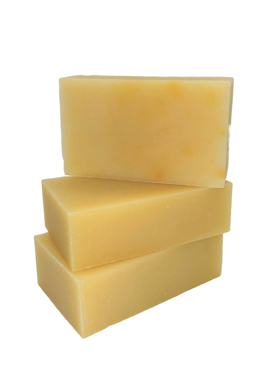Shampoo Bars (NEW)