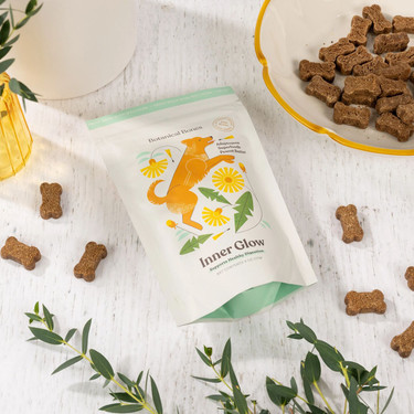 Photo of dog treats with bones laying around a white and green bag with a dog on it 