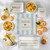 Summer Comfort greeting card surrounded by bowls of soup, cookies, and rolls.