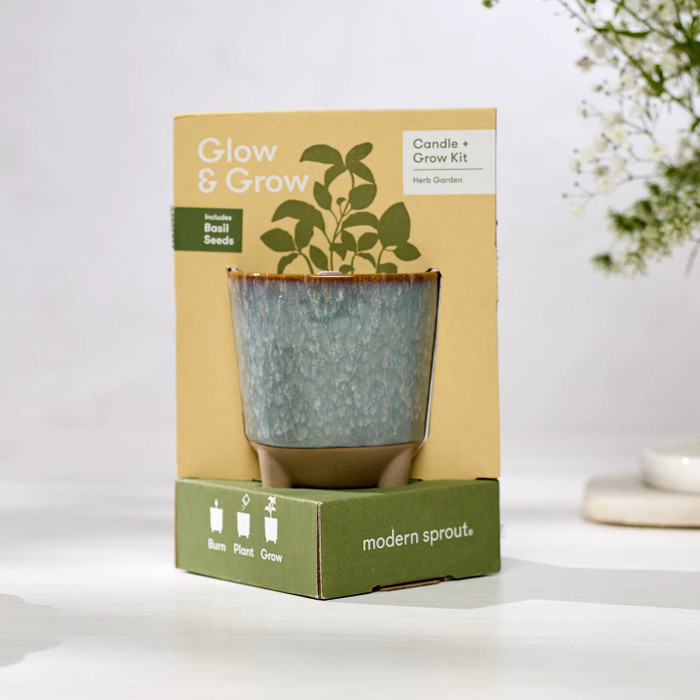 Glow and grow kit next to a tree sitting on a marble tabletop