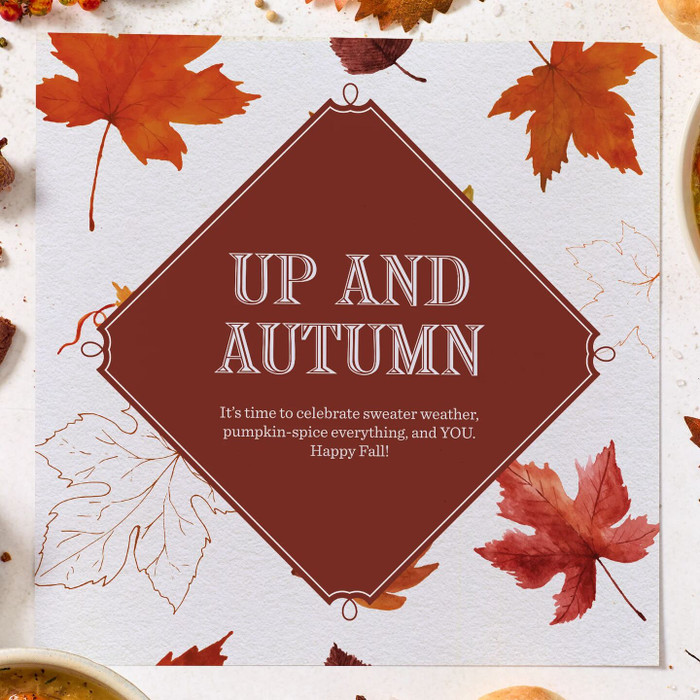 All About Fall Soup Care Package - Vegan
