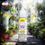 Dinner Lady Synthetic Nicotine E-Liquid 60ML - Lemon Sherbets 