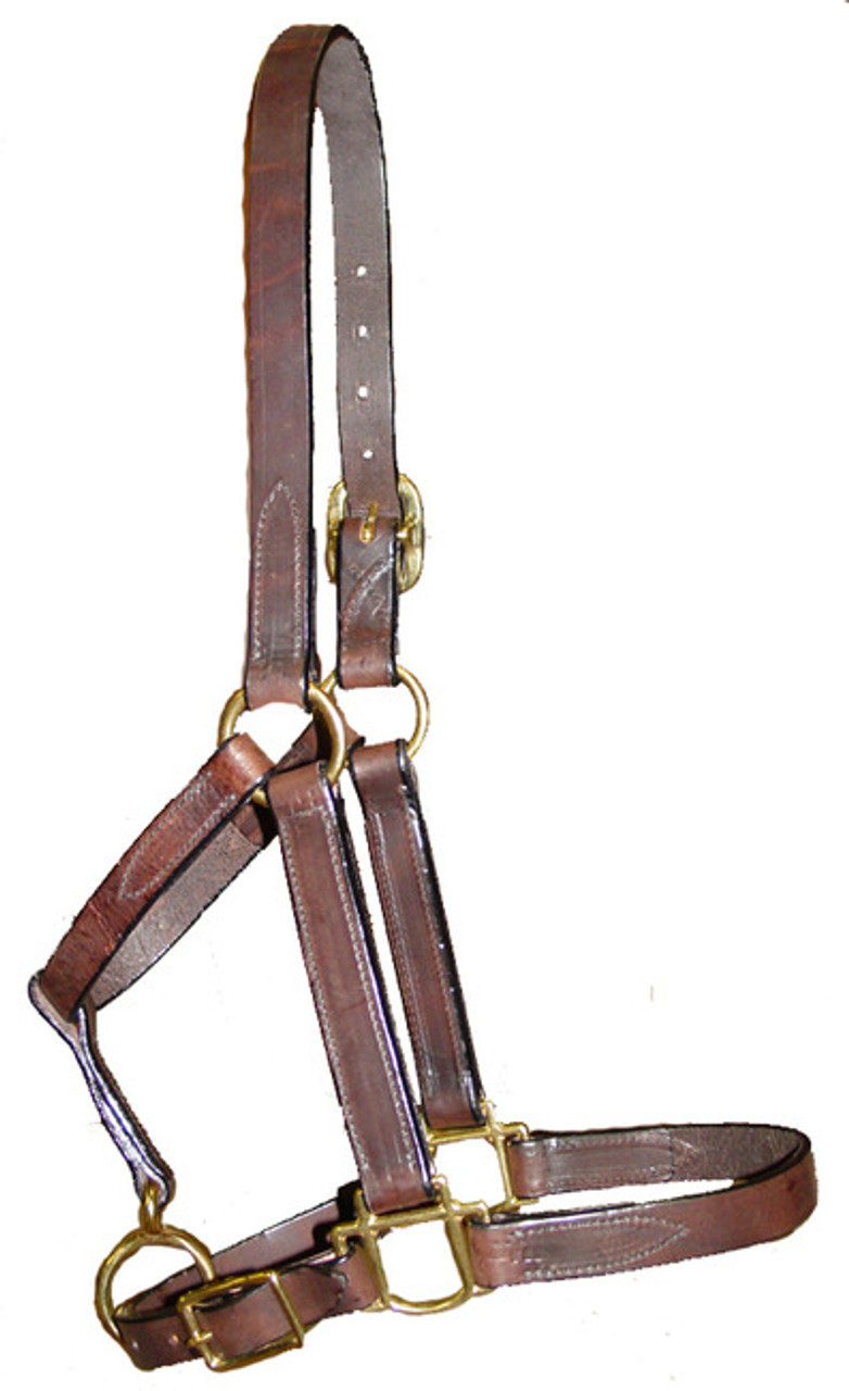 Brown Turnout Halter - Quillin Leather & Tack, Inc