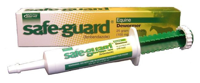SafeGuard Dewormer Syringe Pinkstons Turf Goods