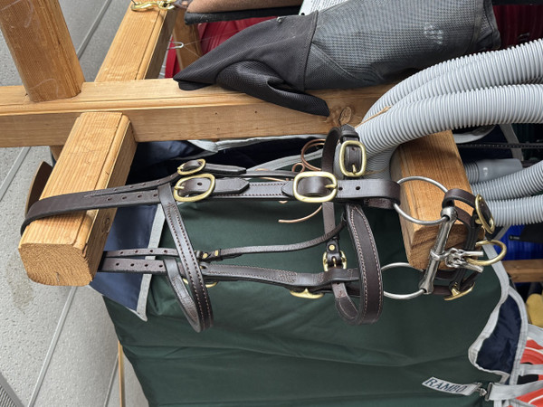 Stallion Bridle with  Nose Band