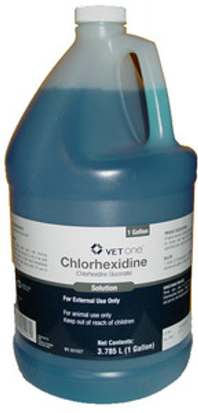 Chlorhexidine SCRUB gallon