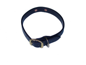 dog collar with name stitched