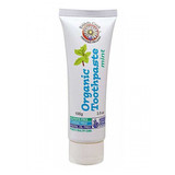 Organic Toothpaste - Mint