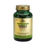 Rhodiola Root Extract