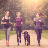 Astaxanthin and muscle recovery