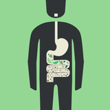 What’s the Buzz Around Probiotics for the Microbiome?