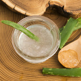 Aloe Vera – essential for surviving Celebration time!