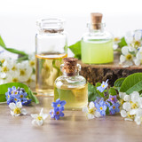 Top 10 Essential Oils and Its Amazing Uses