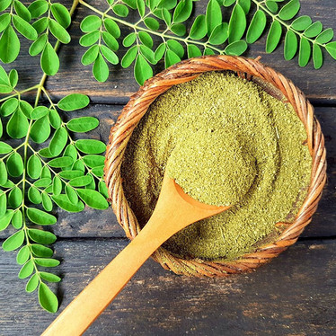 Moringa: Mother Natures’ plant protein powerhouse