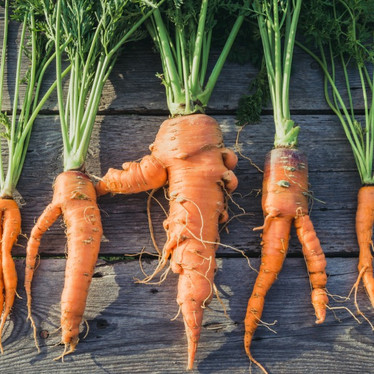 Are Fruit and Veges Best “Ugly”?