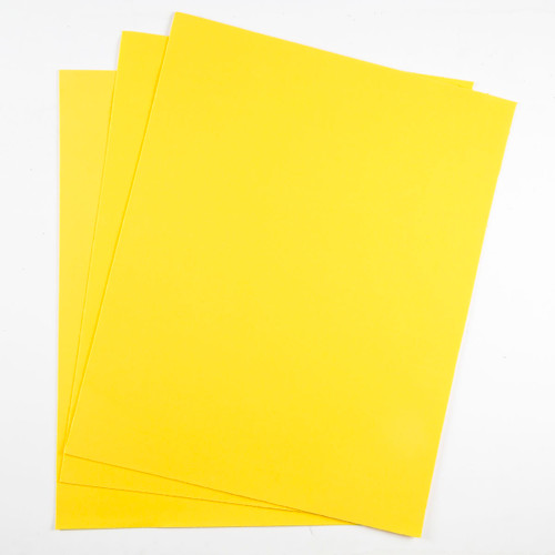 6-Amarillo/6-06-Amarillo Mango