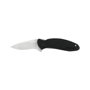 Kershaw Scallion 1620X Pocket Knife with Bead Blast Blade and Assisted Opening