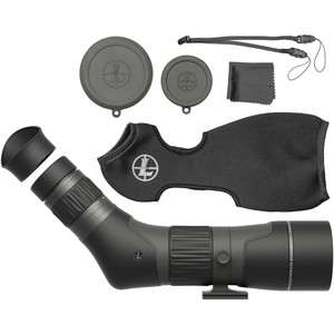 Leupold SX-2 Alpine HD 20-60x60 Spotting Scope in Gray