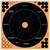 Allen Company EZ Aim Adhesive Splash Reactive Bullseye Paper Targets - 12x12 inches, 5 Pack