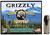 Grizzly Ammo GC10M4 10mm Auto 180-Grain Jacketed Hollow Point Handgun Rounds, 20 Rounds per Box, 10 Boxes per Case