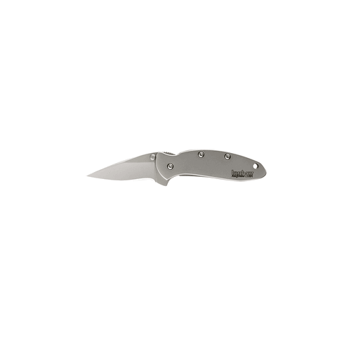 Kershaw Chive Part Number 1600 – Compact 2-Inch Folding Pocket Knife with Gray Handle