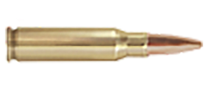 TR&Z PPU PPMK308 308 Winchester Sierra MatchKing BTHP 168 Grain Centerfire Rifle Rounds