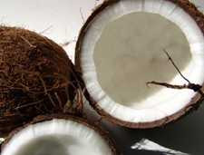 Coconut