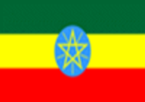 Ethiopian Select Water Process Decaf Gourmet Fresh Roasted Coffee Beans Ethiopian Select Water Process Decaf Gourmet Fresh Roasted Coffee Beans