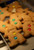 Gingerbread Latte Decaf Flavored Fresh Roasted Coffee Beans