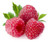 Raspberry