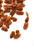 Pecan
