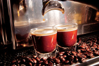 Signature Espresso Blend Gourmet Fresh Roasted Coffee Beans