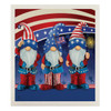PATRIOTIC GNOMES SWEDISH DISHCLOTH