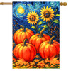 STARRY NIGHT PUMPKINS HOUSE FLAG