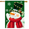 SNOWMAN IN LIGHTS HOUSE FLAG