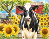 509 COW SHELFIE