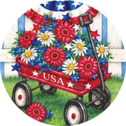 Patriotic Accent Magnets