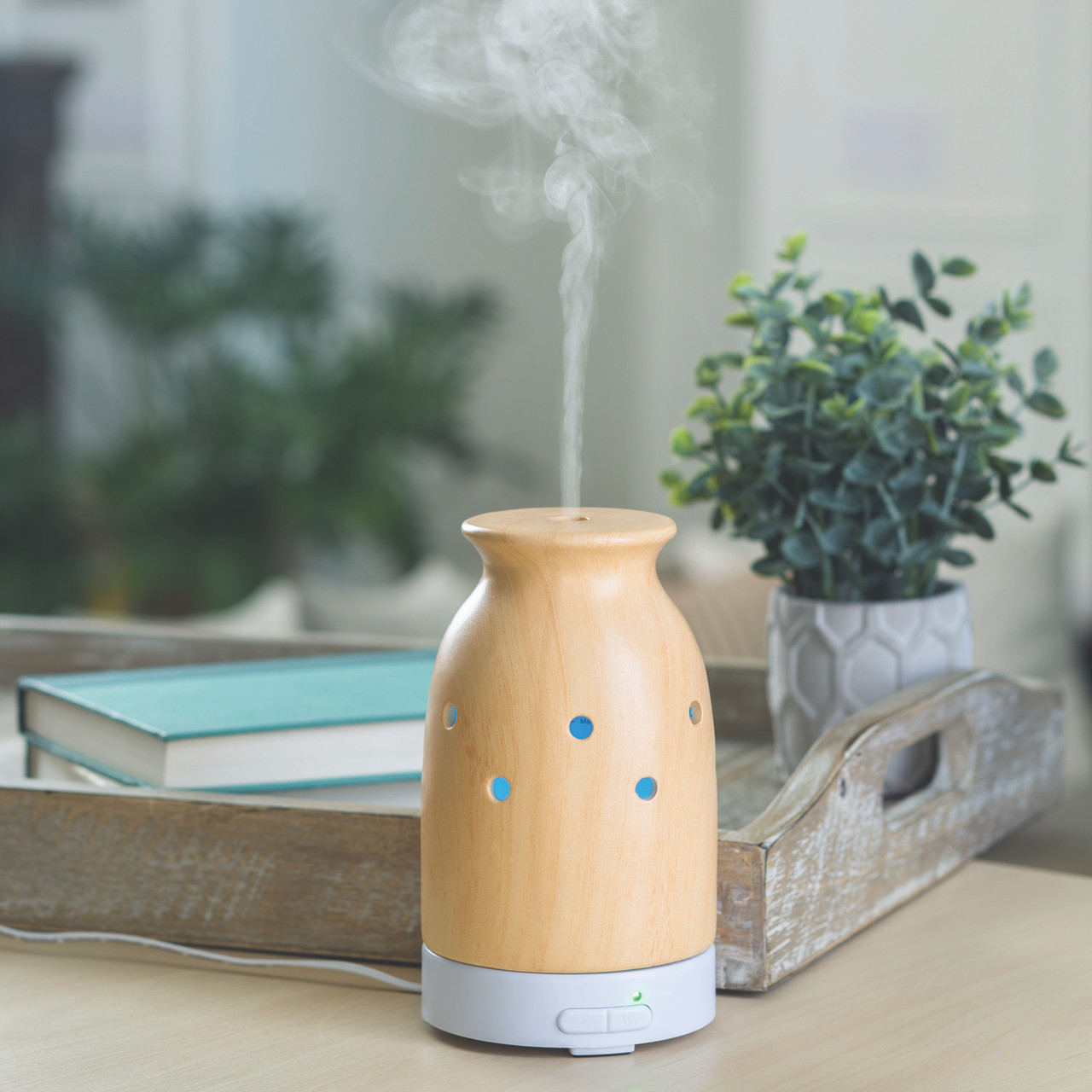 Airome 100 mL Ultrasonic Essential Oil Diffuser for Kids, Teddy Bear, Brown  Porcelain 