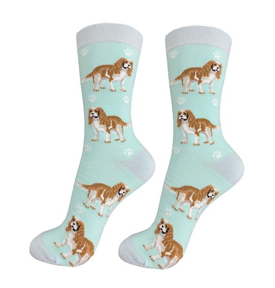 CAVALIER KING CHARLES SOCKS FULL BODY DOG