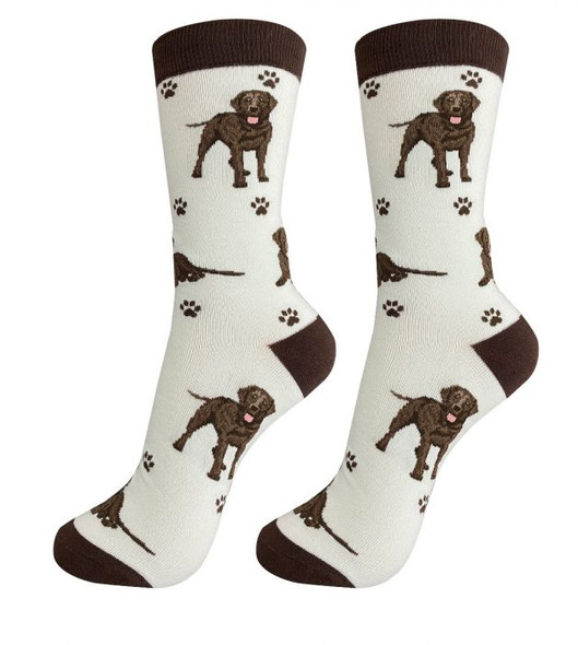 LABRADOR CHOCOLATE SOCKS FULL BODY DOG