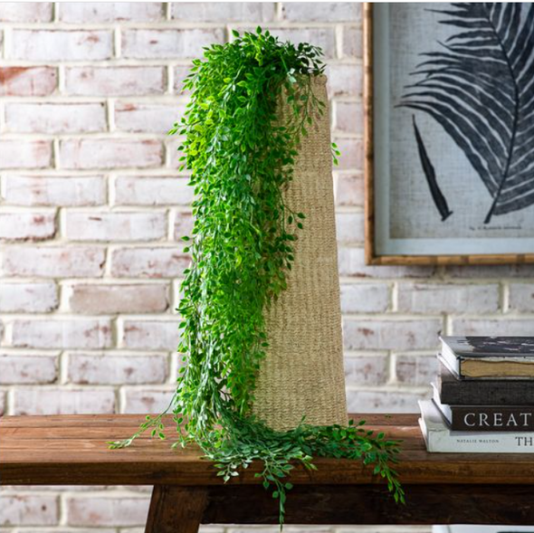 37" HANGING SYSYGIUM STEM