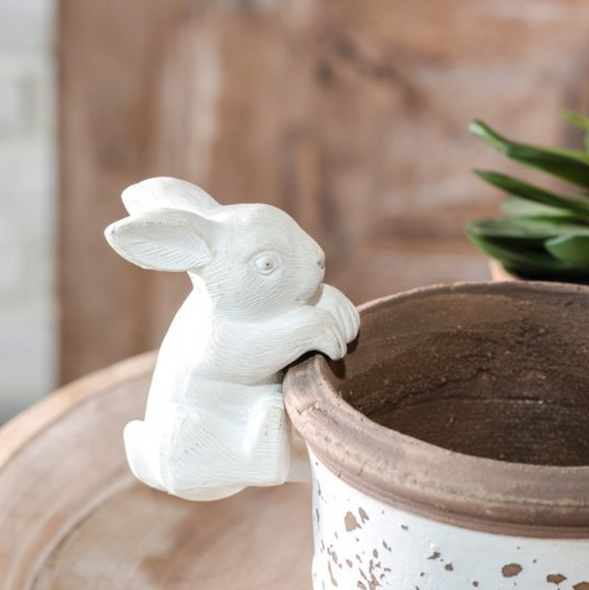 CLIMBING BUNNY POT HANGER